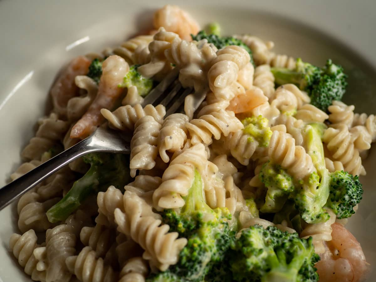 Creamy pasta in a dish with broccoli and shrimp.