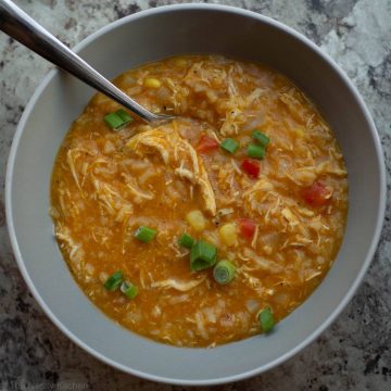 Bowl of pumpkin soup topped with green onions.