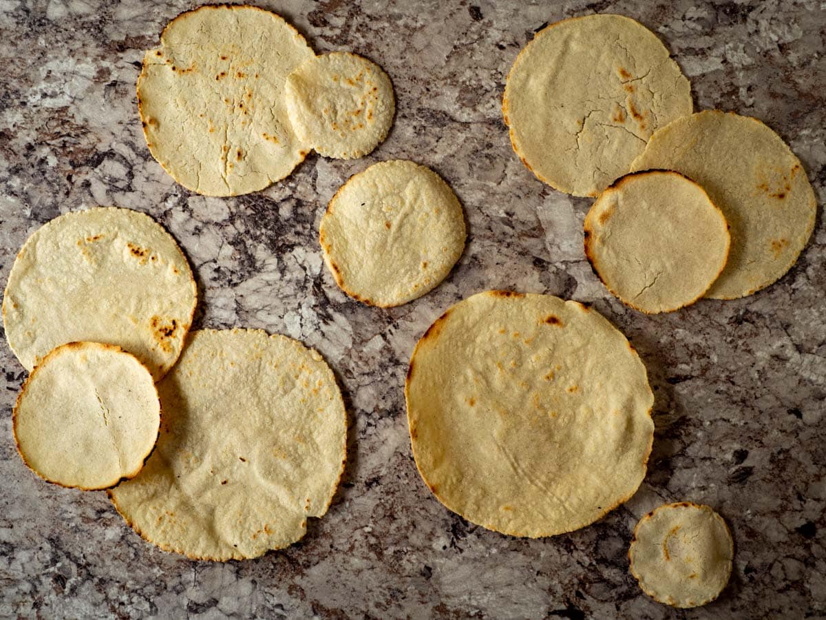 Corn tortillas laid out on a counter top.