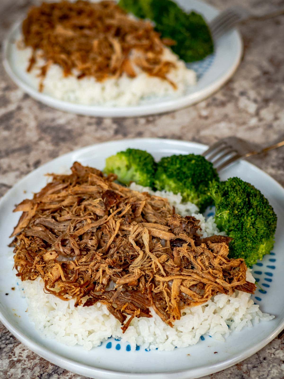 Chinese barbecue pulled pork on rice.