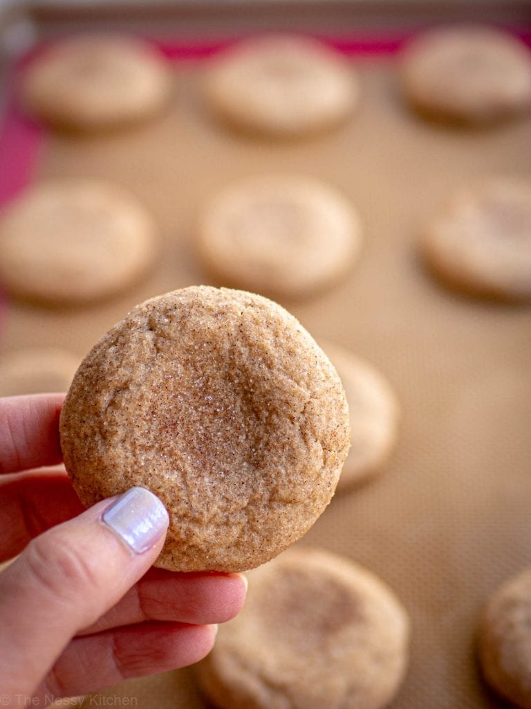 Oat Flour Snickerdoodles (Gluten Free) The Nessy Kitchen
