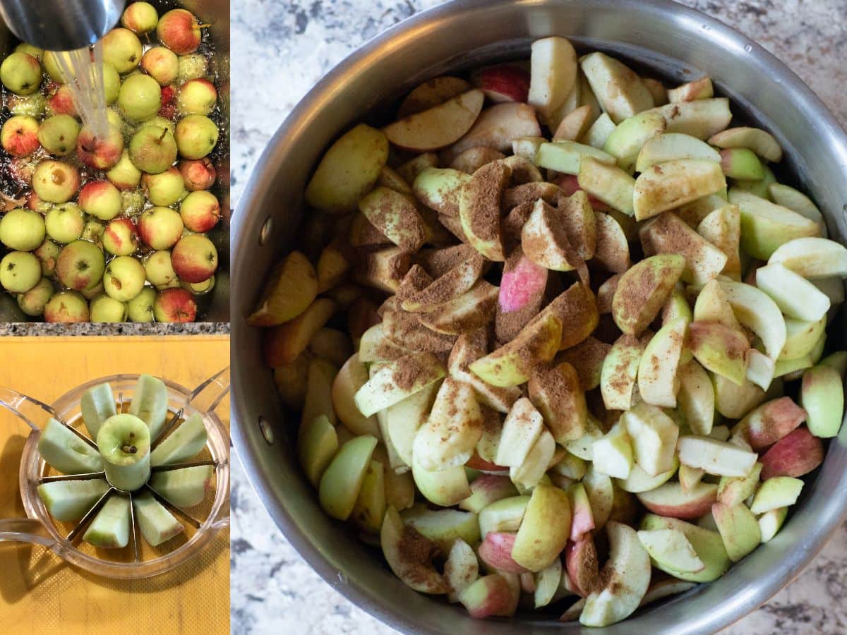 Apples being washed and cut.