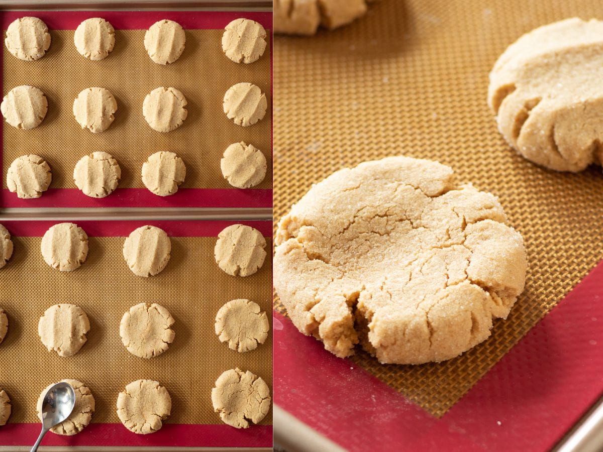 Oat flour peanut butter cookies on a cookie sheet after baking.