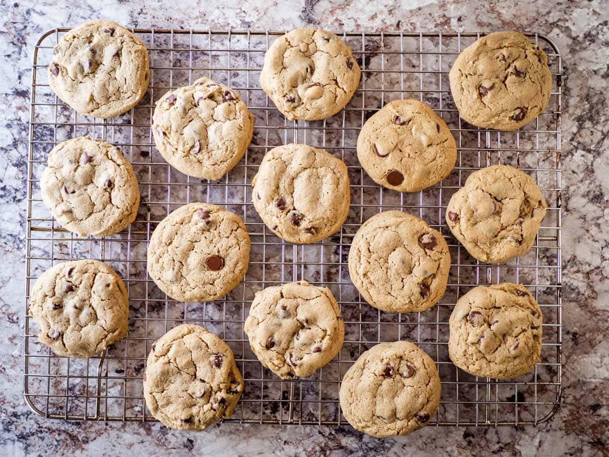 Chocolate chip cookies on a cooling rack.