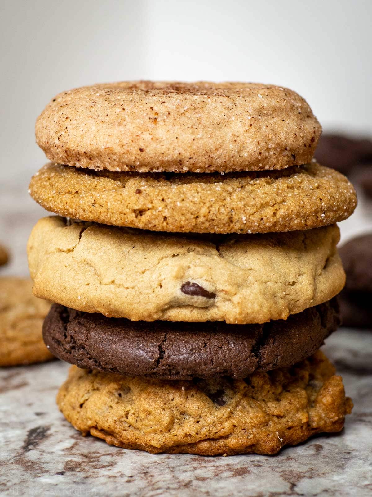Stack of 5 cookies with an oatmeal cookie on the bottom, then a chocolate cookie, chocolate chip cookie, gingersnaps and a snickerdoodle on top.