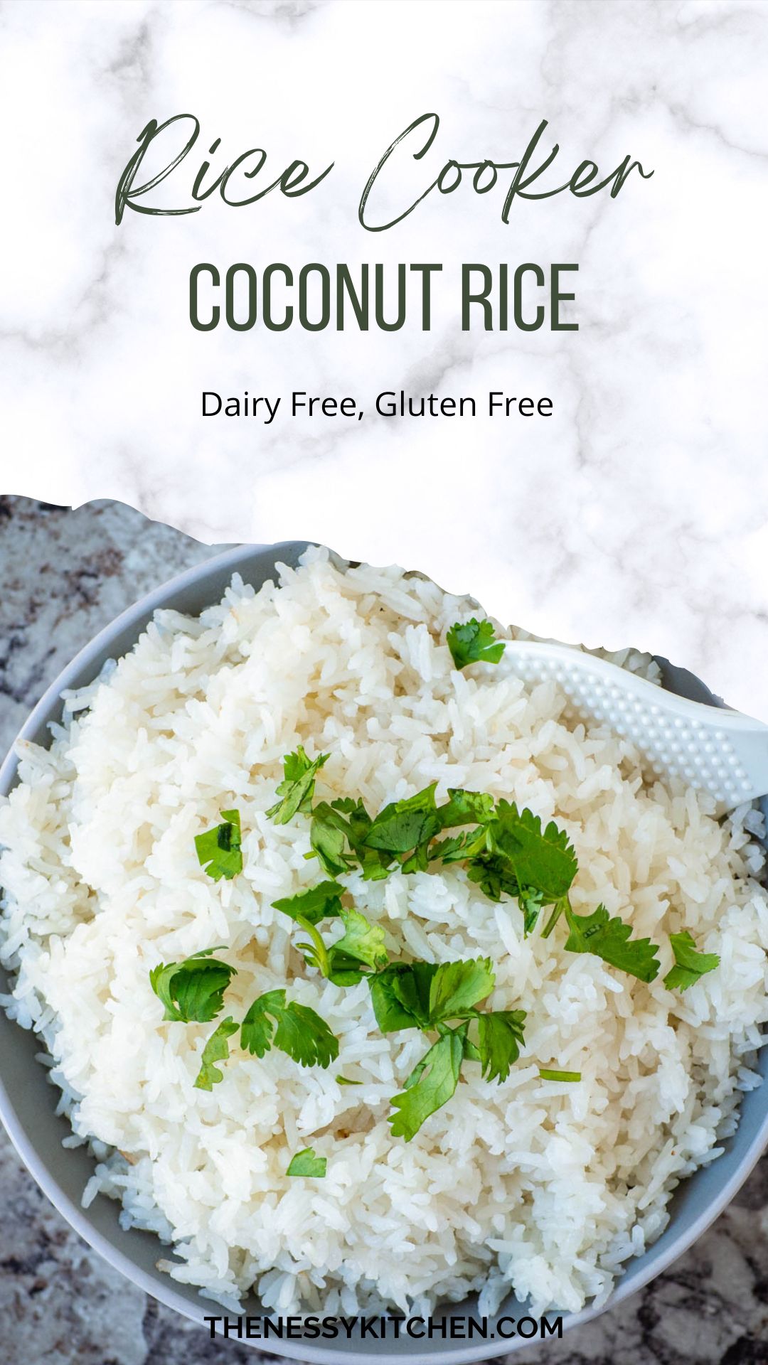Rice Cooker Coconut Rice The Nessy Kitchen