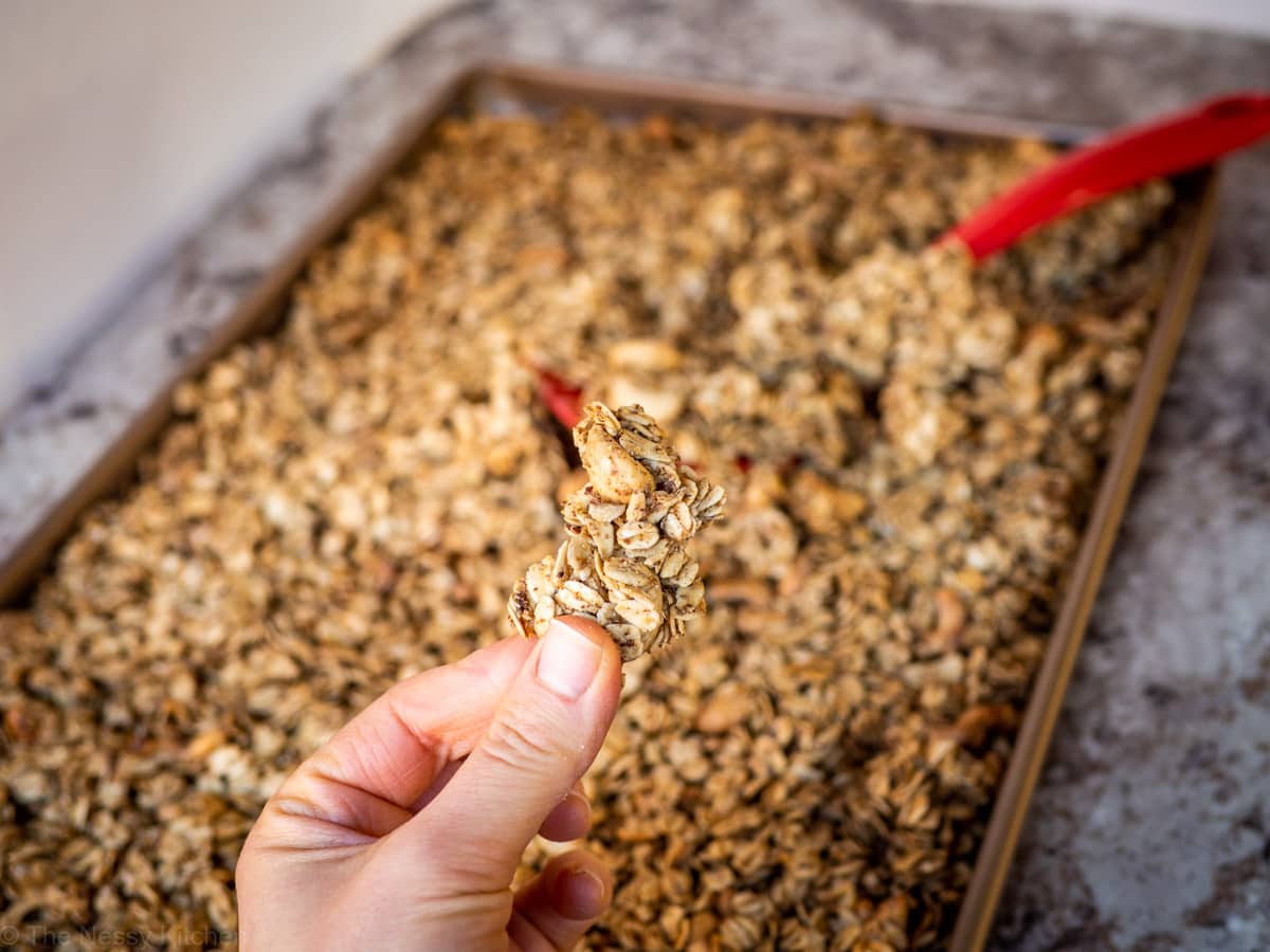 Hand holding up a large cluster of granola.