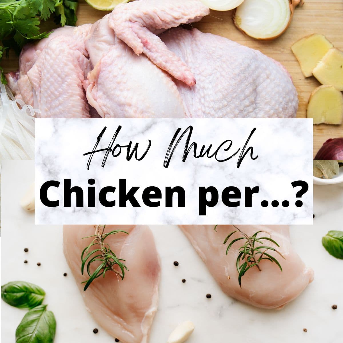 how-much-chicken-converting-between-pounds-grams-and-cups-for-recipes