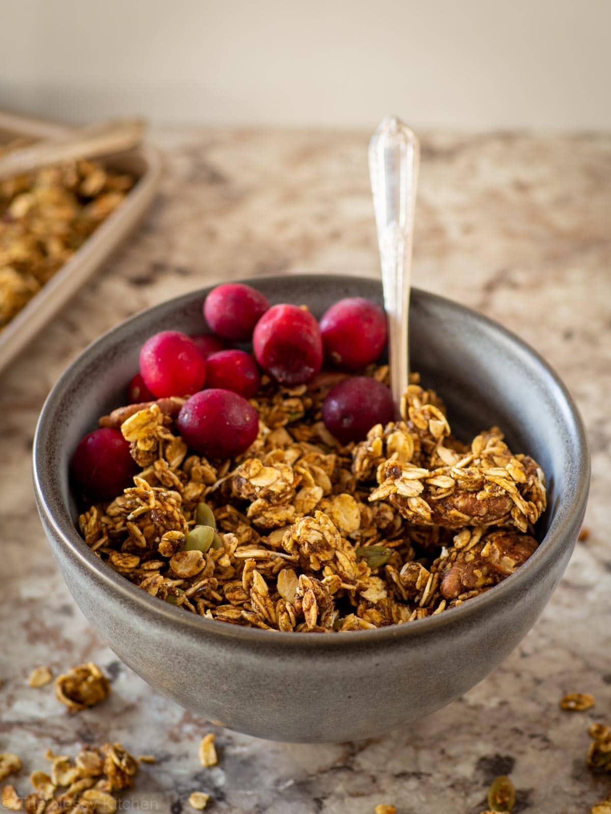 Bowl of granola topped with cranberries.