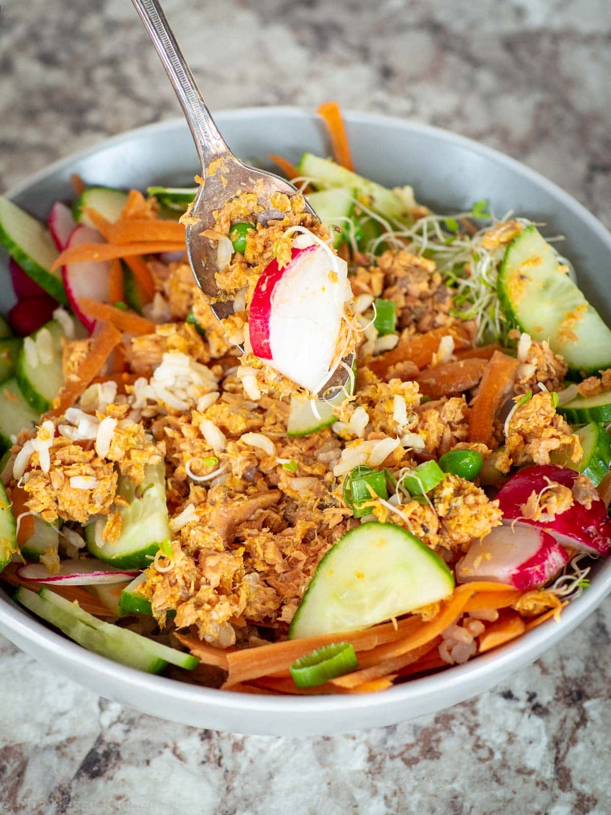 Spoonful of canned salmon, rice and vegetables.