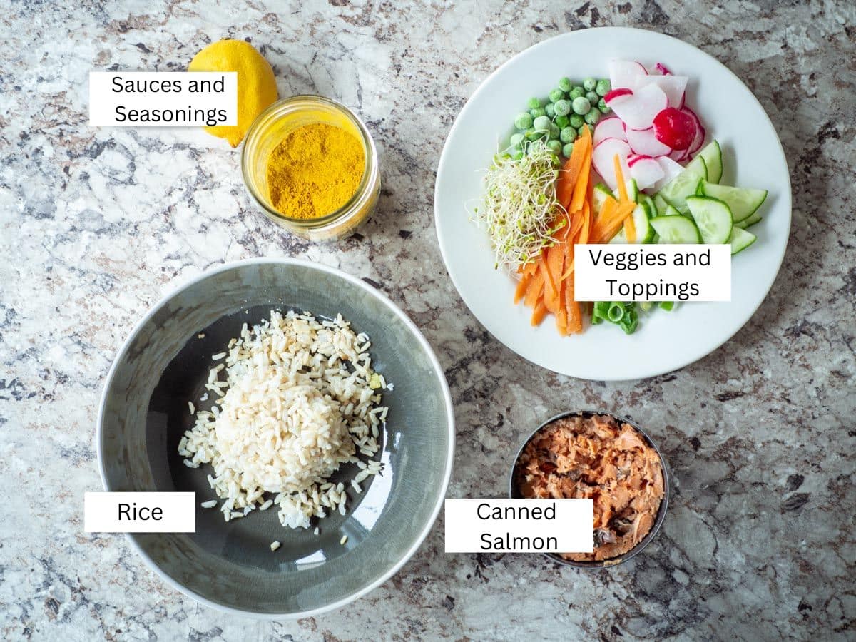 Ingredients for canned salmon over rice.