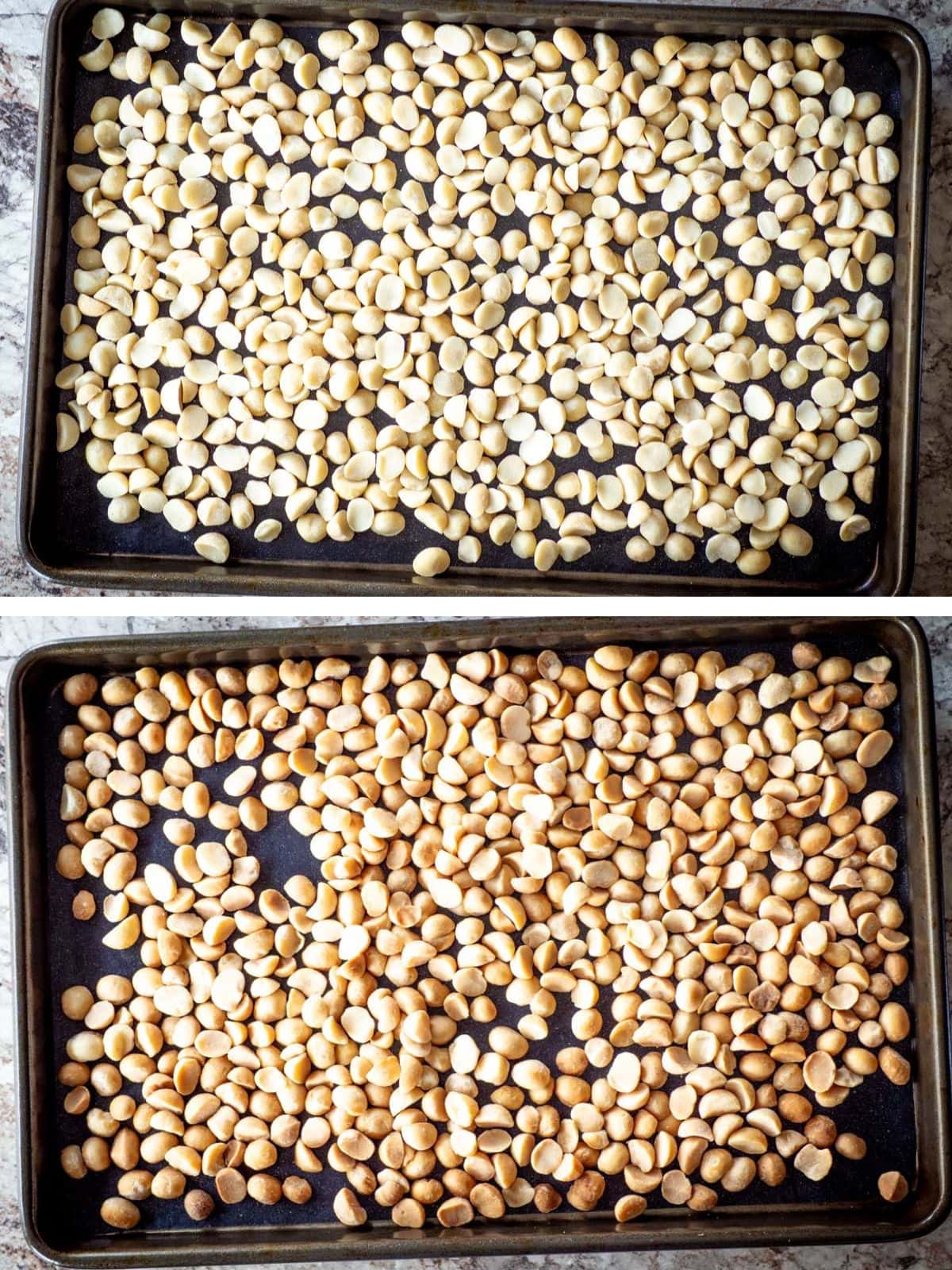 Macadamia nuts roasted on a sheet pan.