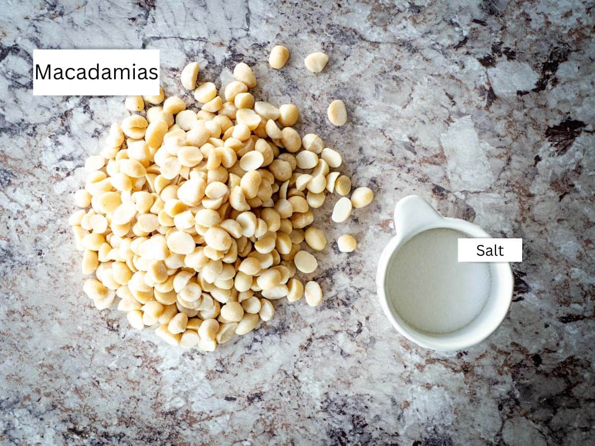 Ingredients for macadamia nut butter.