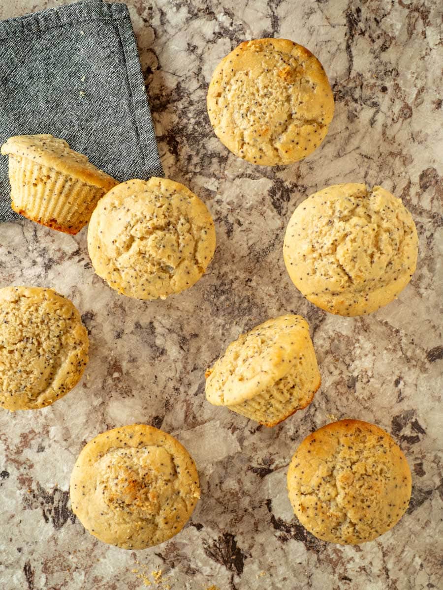 Muffins on a countertop.