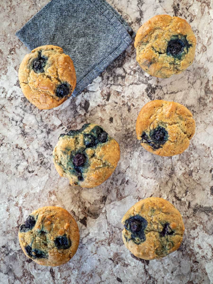 Blueberry muffins on a countertop.