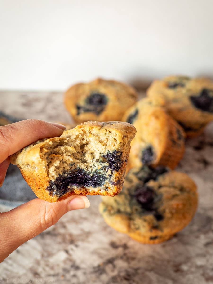 Hand holding a muffin with a bite taken out.