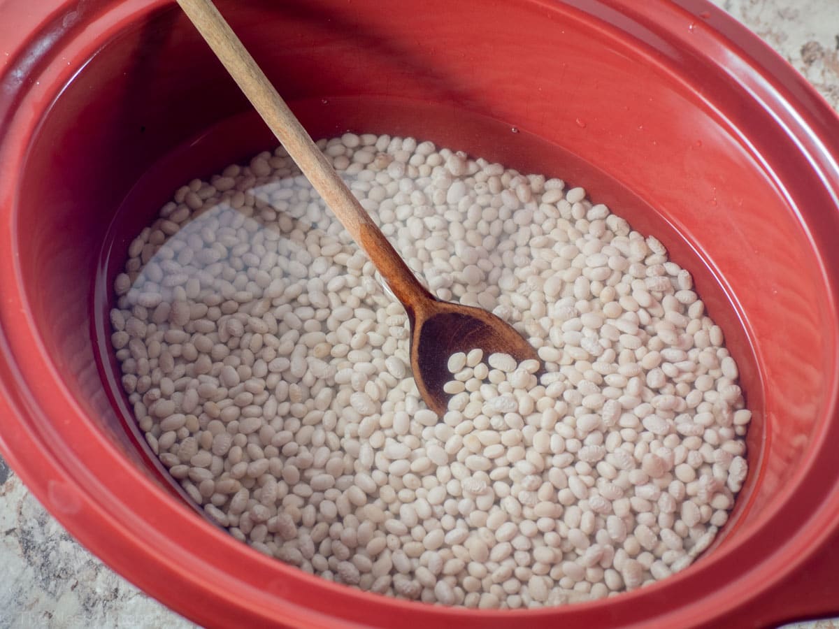 Dry beans mixed with water and optional seasonings in the base of a crockpot.