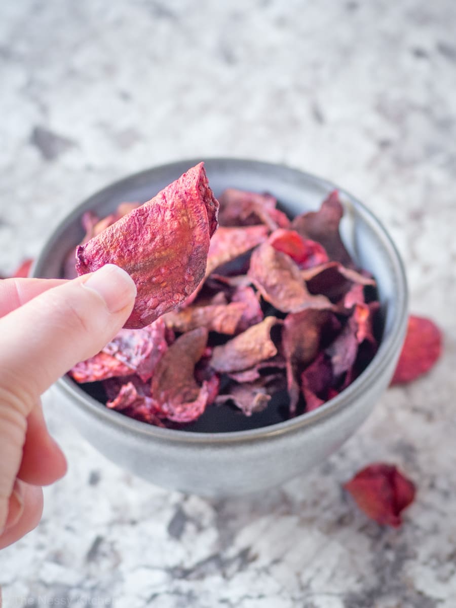 Hand holding up a beet chip.