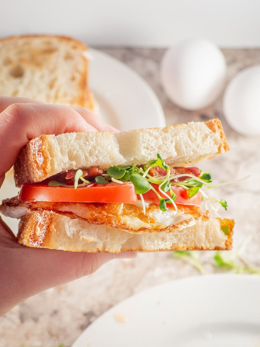 Hand holding up a breakfast sandwich.