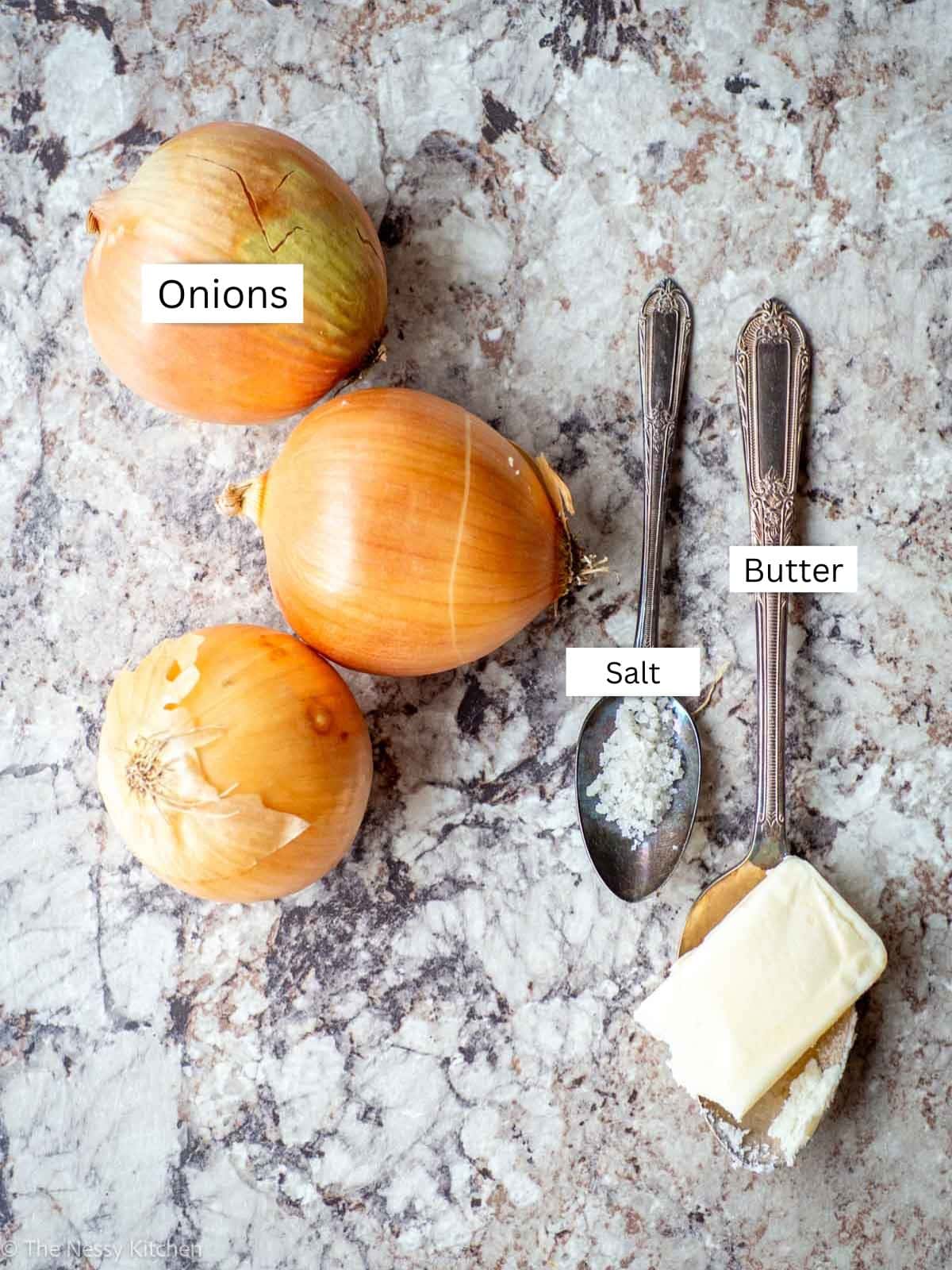 Ingredients measured out for caramelized onions recipe.