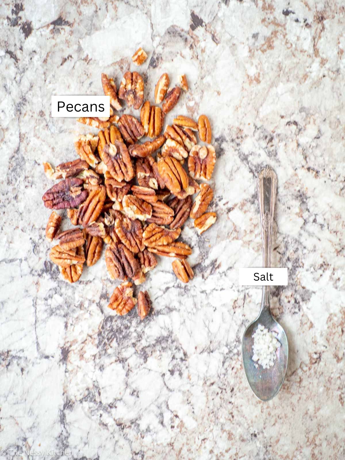 Ingredients needed to make pecan butter.