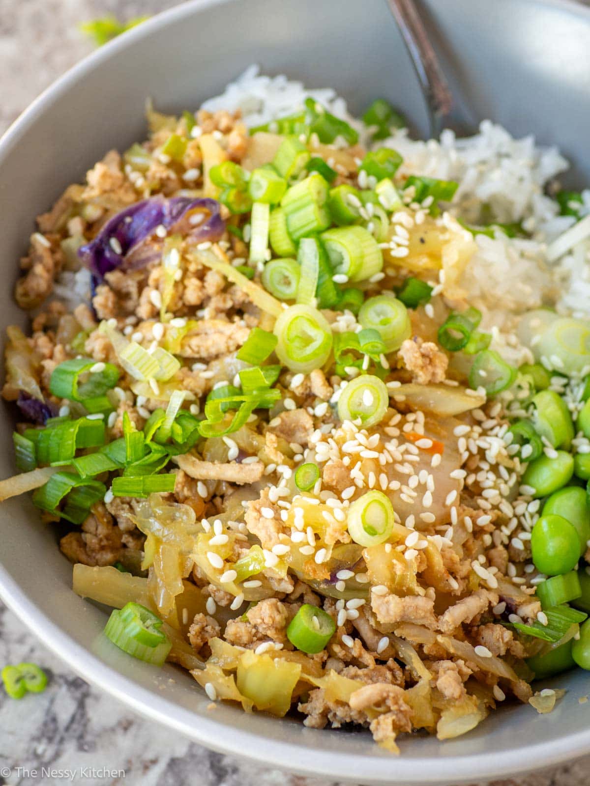 Ground pork and coleslaw on a bed of rice.