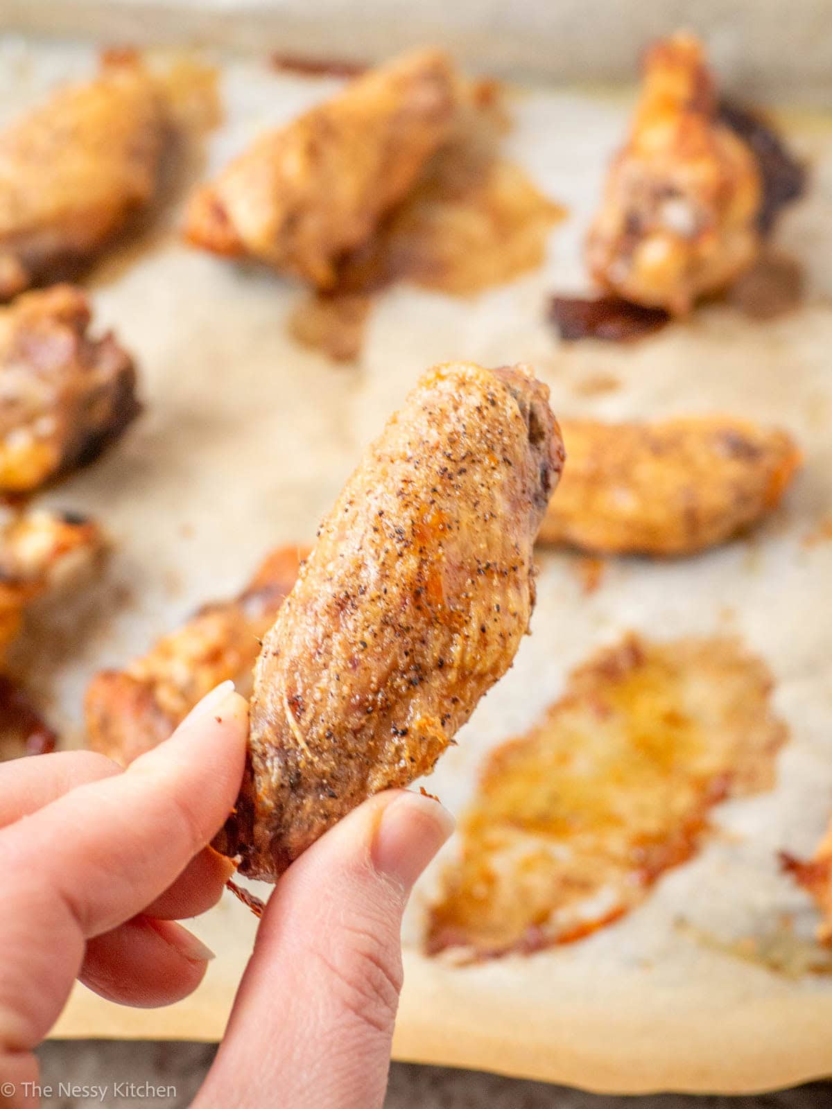 Hand holding a crispy piece of chicken.